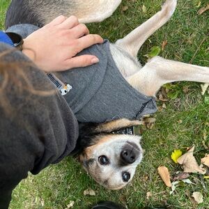 Meet your Posher, Sophia